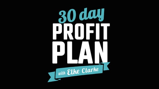 The 30 Day Profit Plan with Elke Clarke, Top Zazzle Earner. An online course and mentoring program that shows you how to make a profit on Zazzle.