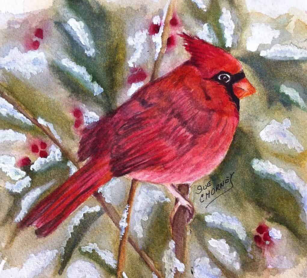 Sue Chorney's Red Cardinal painting photograph that I am using for the design demonstrations. You must use a good quality photograph of your artwork to create Zazzle products for sale.