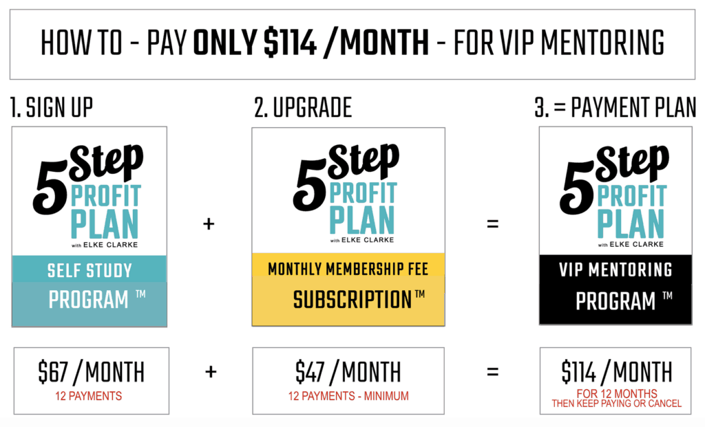 Limited time pricing for the 5 Step Profit Plan VIP Mentoring Program™. Pay only $144/ month for only 12 months.